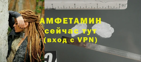 соль ск Дмитриев