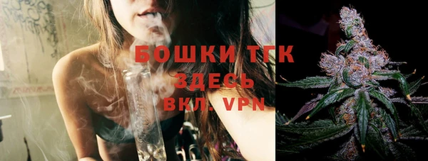 дживик Ельня