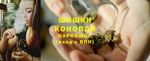 молекула духа Елабуга