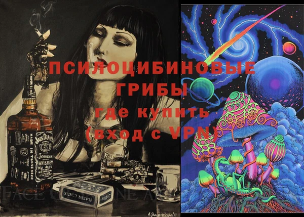 соль ск Дмитриев