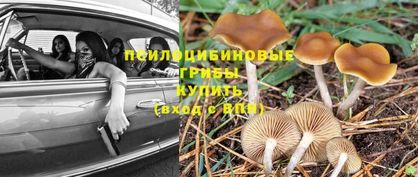 молекула духа Елабуга