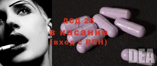 соль ск Дмитриев