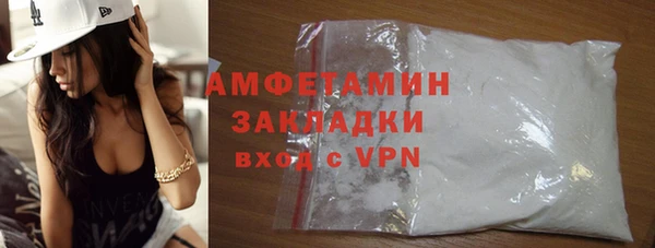 дживик Ельня