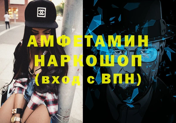 дживик Ельня