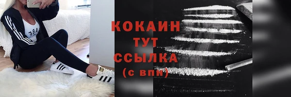 молекула духа Елабуга