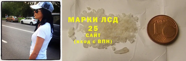 дживик Ельня