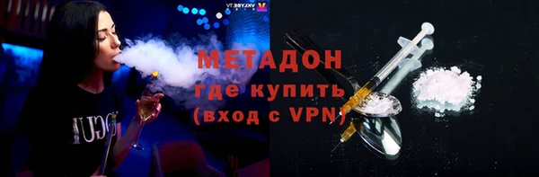 дживик Ельня