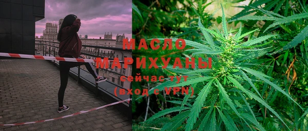 дживик Ельня