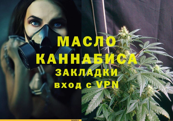 дживик Ельня