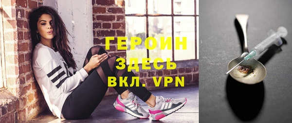 дживик Ельня