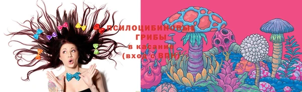 молекула духа Елабуга