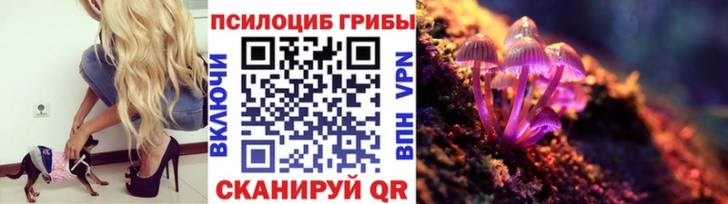 Псилоцибиновые грибы Psilocybine cubensis  Купить где  Гусиноозёрск 